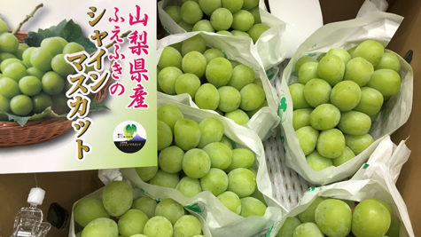 高雄漢神巨蛋購物廣場、山梨県シャインマスカット販売イベント
